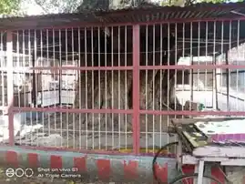 Arulmigu Varasakthivinayagar Temple, Sindhupoondurai - 627001 Arulmigu Varasakthivinayagar Temple, Sindhupoondurai - 627001, Tirunelveli - Ancient Temple Architecture and History Image 2