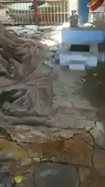 Arulmigu Varasakthivinayagar Temple, Sindhupoondurai - 627001 Arulmigu Varasakthivinayagar Temple, Sindhupoondurai - 627001, Tirunelveli - Ancient Temple Architecture and History Image 6