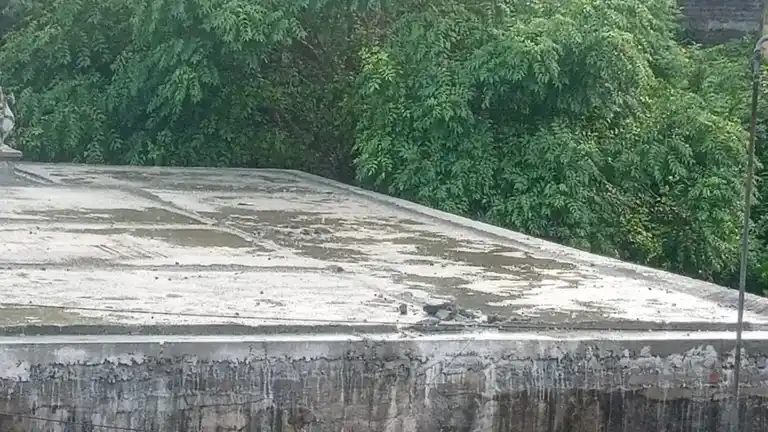 Arulmigu Varasidhi Vinayagar And Palani Andavar Temple, Arcot - 632503 அருள்மிகு வரச்சித்தி விநாயகர் மற்றும் பழனியாண்டவர் திருக்கோயில், ஆற்காடு - 632503, Ranipet - Ancient Temple Architecture and History Image 3