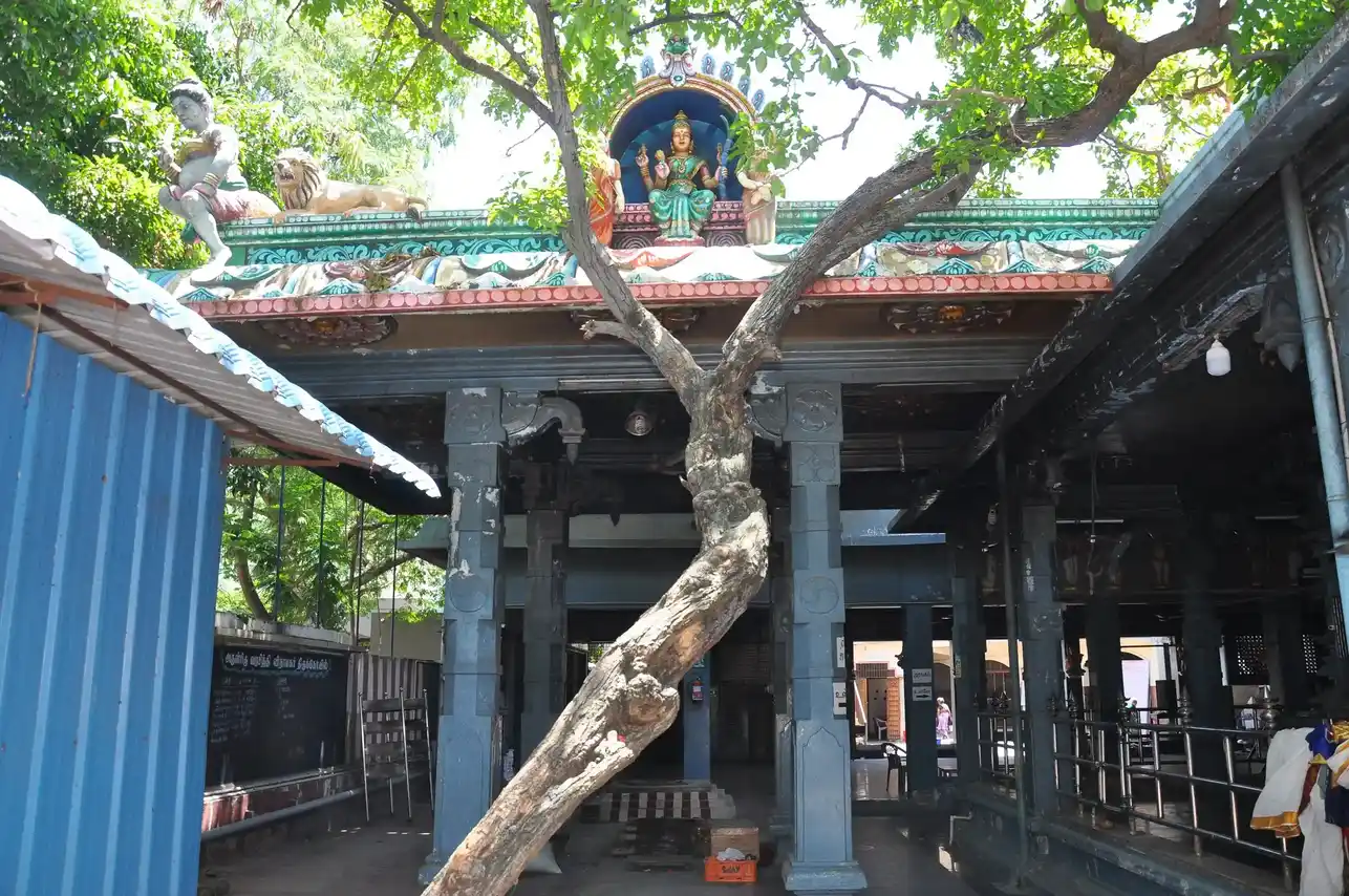 Arulmigu Varasidhi Vinayagar Temple, Besant Nagar, Chennai - 600090 அருள்மிகு வரசித்தி விநாயகர் திருக்கோயில், பெசன்ட் நகர், சென்னை - 600090, Chennai - Ancient Temple Architecture and History Image 3