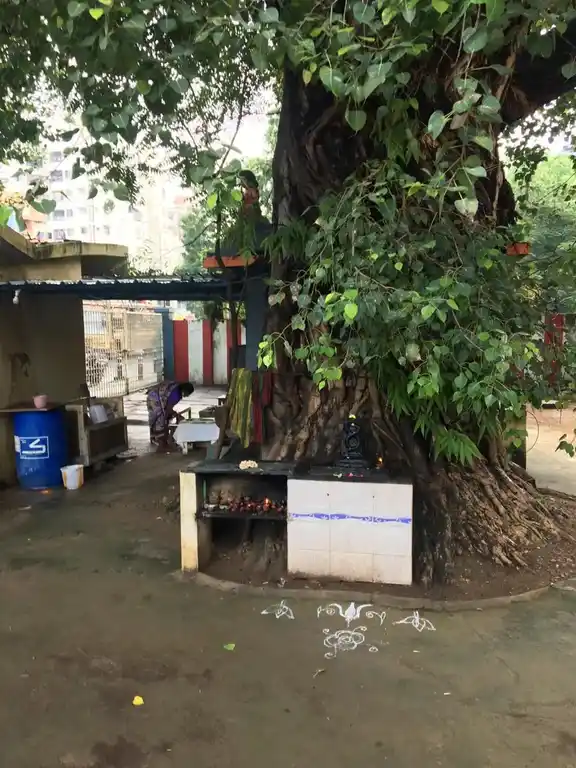 Arulmigu Varasidhi Vinayagar Temple, Saligramam, Chennai - 600093 அருள்மிகு வரசித்தி விநாயகர் திருக்கோயில், சாலிகிராமம், சென்னை - 600093, Chennai - Ancient Temple Architecture and History Image 2