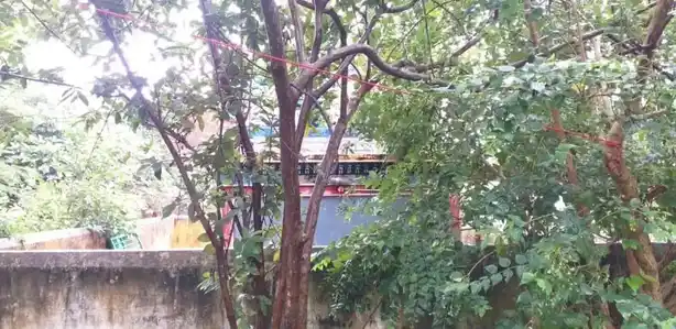 Arulmigu Varasithi Vinaygar Temple, Theniluppai - 604401