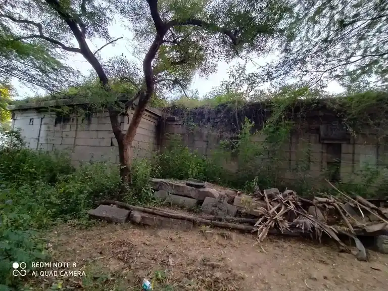 Arulmigu Varatharaja Perumal Temple, Ariyapadi - 632301 அருள்மிகு வரதராஜபெருமாள் திருக்கோயில், Ariyapadi - 632301, Tiruvannamalai - Ancient Temple Architecture and History Image 5