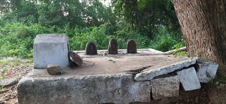 Arulmigu Varatharaja Perumal Temple, Boothapadi - 638311 Temple