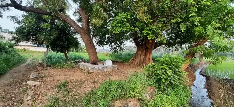 Arulmigu Varatharaja Perumal Temple, Boothapadi - 638311 அருள்மிகு வரதராஜப் பெருமாள் திருக்கோயில், Boothabadi - 638311, Erode - Ancient Temple Architecture and History Image 5