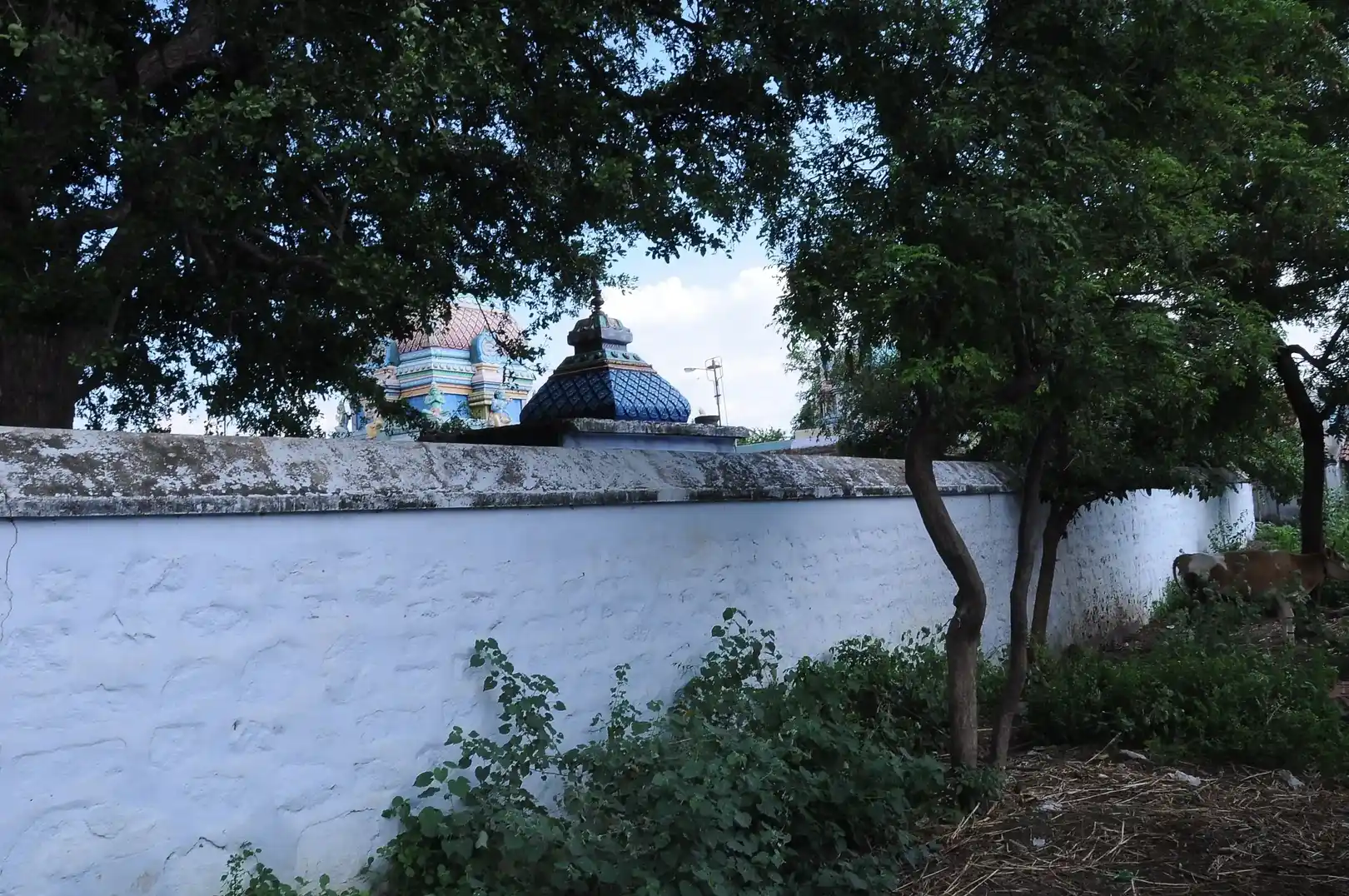 Arulmigu Varatharaja Perumal Temple, Edhumalai - 621005 அருள்மிகு வரதராஜப்பெருமாள் திருக்கோயில், Edhumalai - 621005, Thiruchirappalli - Ancient Temple Architecture and History Image 4