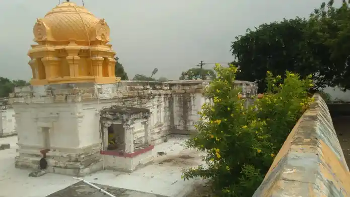 Arulmigu Varatharaja Perumal Temple, Keezhathanur - 606108 அருள்மிகு வைத்தியநாதசுவாமி திருக்கோயில், கீழாத்தனூர் - 606108, Cuddalore - Ancient Temple Architecture and History Image 5