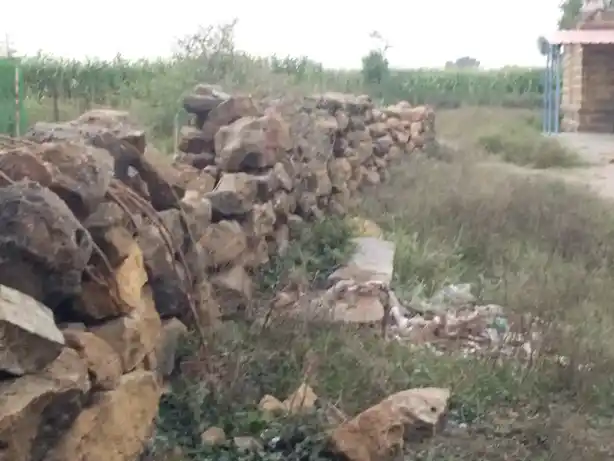 Arulmigu Varatharaja Perumal Temple, Kottarai - 621106 அருள்மிகு வரதராஜப்பெருமாள் திருக்கோயில், கொட்டரை - 621106, Perambalur - Ancient Temple Architecture and History Image 2