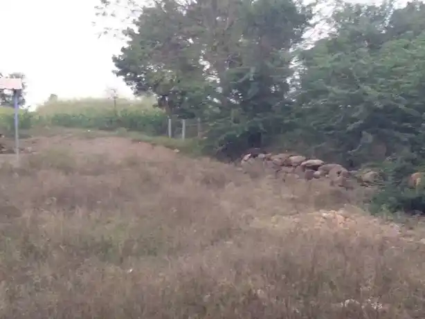 Arulmigu Varatharaja Perumal Temple, Kottarai - 621106 அருள்மிகு வரதராஜப்பெருமாள் திருக்கோயில், கொட்டரை - 621106, Perambalur - Ancient Temple Architecture and History Image 4