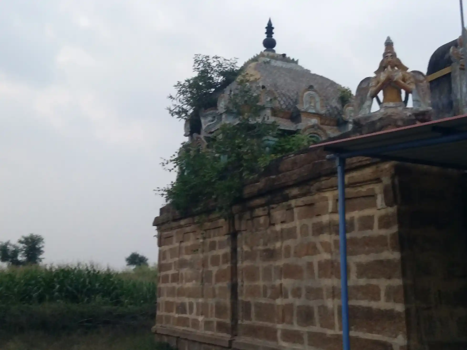 Arulmigu Varatharaja Perumal Temple, Kottarai - 621106 அருள்மிகு வரதராஜப்பெருமாள் திருக்கோயில், கொட்டரை - 621106, Perambalur - Ancient Temple Architecture and History Image 5