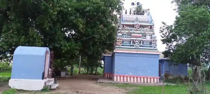 Arulmigu Varatharaja Perumal Temple, Nagar - 621703 அருள்மிகு வரதராஜப்பெருமாள் திருக்கோயில், Nagar - 621703, Thiruchirappalli - Ancient Temple Architecture and History Image 2