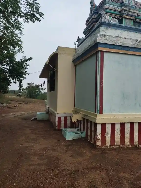 Arulmigu Varatharaja Perumal Temple, Palaiyankotai - 624708 அருள்மிகு வரதராஜப்பெருமாள் திருக்கோயில், Palaiyankotai - 624708, Dindigul - Ancient Temple Architecture and History Image 4