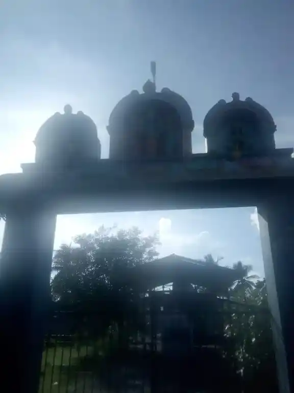 Arulmigu Varatharaja Perumal Temple, Pangal - 610201 அருள்மிகு வரதராஜபெருமாள் திருக்கோயில், பாங்கல் - 610201, Nagapattinam - Ancient Temple Architecture and History Image 2