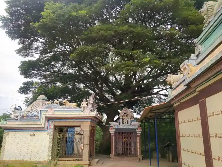 Arulmigu Varatharaja Perumal Temple, Papakurichi - 620010 Arulmigu Varatharaja perumal Temple, Papakurichi - 620010, Thiruchirappalli - Ancient Temple Architecture and History Image 2