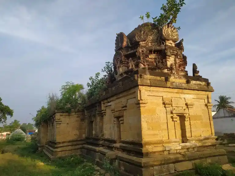 Arulmigu Varatharaja Perumal Temple, Paravai - 621717 Arulmigu Varatharaja Perumal Temple, Paravai - 621717, Perambalur - Ancient Temple Architecture and History Image 3