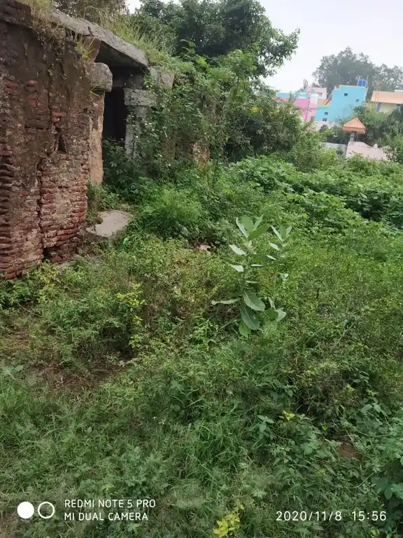 Arulmigu Varatharaja Perumal Temple, Pennathur - 632058 அருள்மிகு வரதராஜப்பெருமாள் திருக்கோயில், பென்னாத்தூர் - 632058, Vellore - Ancient Temple Architecture and History Image 3