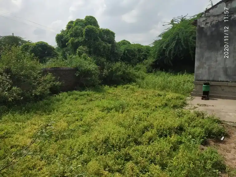 Arulmigu Varatharaja Perumal Temple, Periyavadakarai - 621110 அருள்மிகு வரதராஜப்பெருமாள் திருக்கோயில், Periyavadakarai - 621110, Perambalur - Ancient Temple Architecture and History Image 3