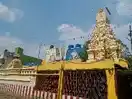 Arulmigu Varatharaja Perumal Temple, Pichanur - 632601