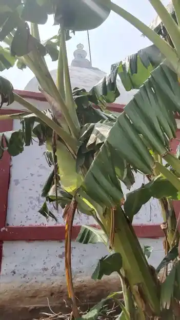 Arulmigu Varatharaja Perumal Temple, Pilathu - 624802 அருள்மிகு வரதராஜப்பெருமாள் திருக்கோயில், Pilathu - 624802, Dindigul - Ancient Temple Architecture and History Image 4