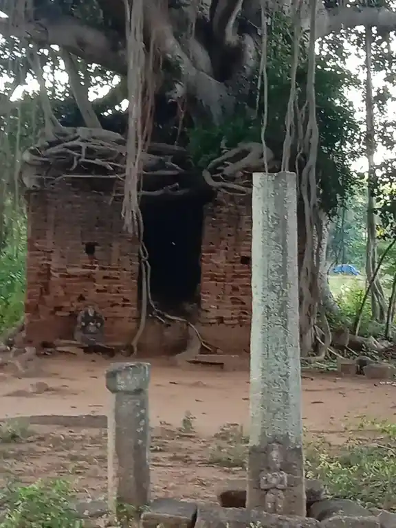 Arulmigu Varatharaja Perumal Temple, Senkuruchi - 624306