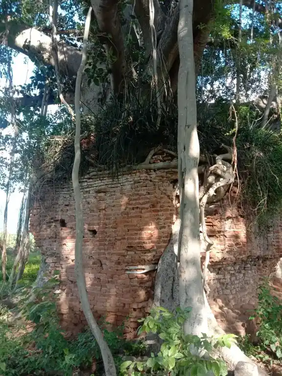 Arulmigu Varatharaja Perumal Temple, Senkuruchi - 624306 அருள்மிகு வரதராஜப்பெருமாள் திருக்கோயில், Senkuruchi - 624306, Dindigul - Ancient Temple Architecture and History Image 3