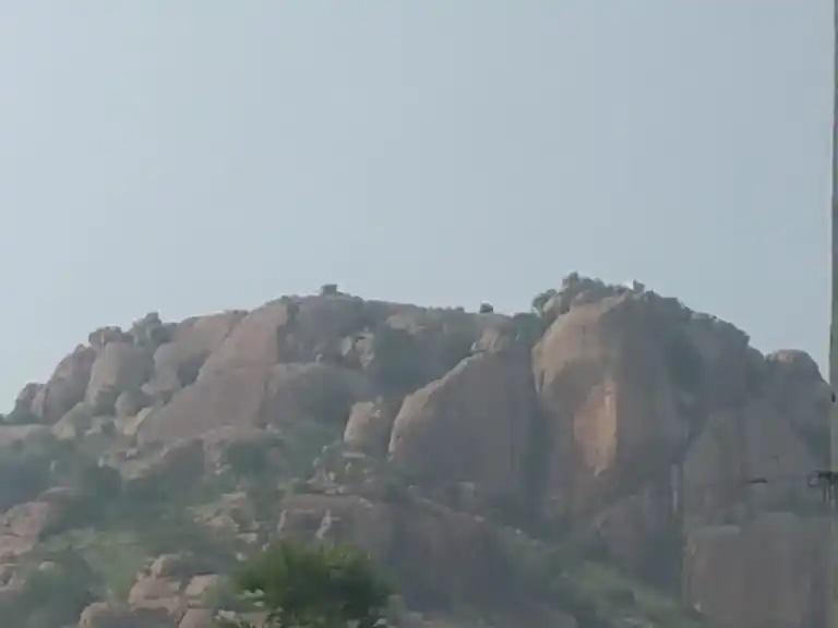 Arulmigu Varatharaja Perumal Temple, Thevenkurichi - 625703 Temple