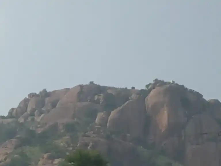 Arulmigu Varatharaja Perumal Temple, Thevenkurichi - 625703 அருள்மிகு வரதராஜ பெருமாள் திருக்கோவில், Thevenkurichi - 625703, Madurai - Ancient Temple Architecture and History Image 4