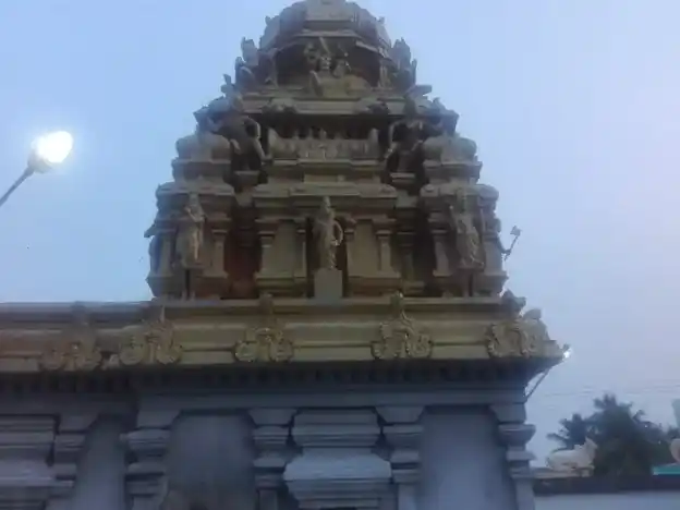 Arulmigu Varatharaja Perumal Temple, Thimiri - 632512 அருள்மிகு வரதராஜப்பெருமாள் திருக்கோயில், திமிரி - 632512, Ranipet - Ancient Temple Architecture and History Image 3