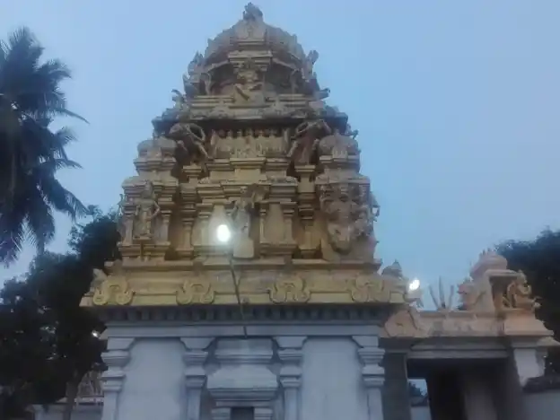 Arulmigu Varatharaja Perumal Temple, Thimiri - 632512 அருள்மிகு வரதராஜப்பெருமாள் திருக்கோயில், திமிரி - 632512, Ranipet - Ancient Temple Architecture and History Image 6