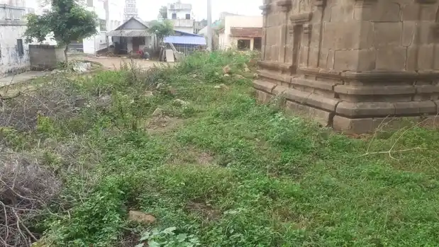 Arulmigu Varatharaja Perumal Temple, Thimur - 621713 அருள்மிகு வரதராஜ பெருமாள் திருக்கோயில், திம்மூர், திம்மூர் - 621713, Perambalur - Ancient Temple Architecture and History Image 2