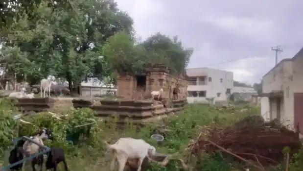 Arulmigu Varatharaja Perumal Temple, Thimur - 621713 அருள்மிகு வரதராஜ பெருமாள் திருக்கோயில், திம்மூர், திம்மூர் - 621713, Perambalur - Ancient Temple Architecture and History Image 6