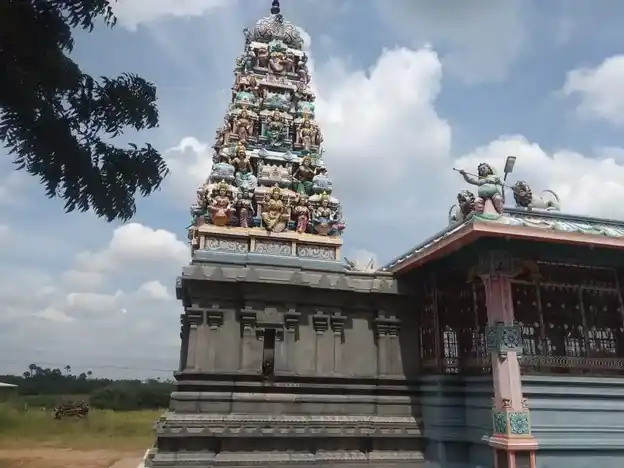 Arulmigu Varatharaja, Vinayagar, Mariamman, Kalliamman Temple, Naravalur Agrakaram, - 637003 அருள்மிகு வரதராஜ, விநாயகர், மாரியம்மன், காளியம்மன் திருக்கோயில், Naravalur Agrakaram, - 637003, Namakkal - Ancient Temple Architecture and History Image 6