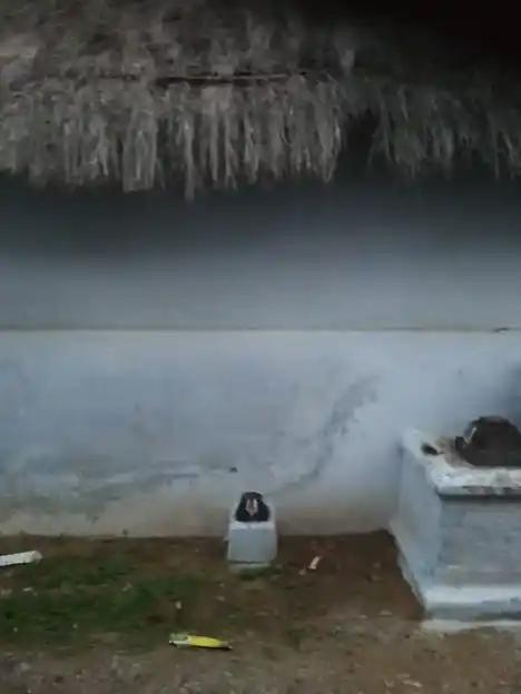 Arulmigu Varatharajaperumal, Kempanayakkanpalayam, Kempanayakkanpalyam - 638503 அருள்மிகு வரதராஜப்பெருமாள் திருக்கோயில், கேம்பநாயக்கன்பாளையம், Kempanayakkanpalyam - 638503, Erode - Ancient Temple Architecture and History Image 2