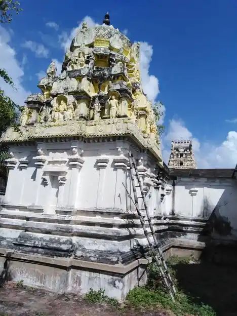 Arulmigu Varatharajaperumal Temple, Haridwaramangalam - 612802 அருள்மிகு வரதராஜபெருமாள் திருக்கோயில், ஹரித்துவாரமங்கலம் - 612802, Thiruvarur - Ancient Temple Architecture and History Image 7