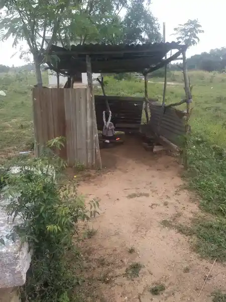 Arulmigu Varatharajaperumal Temple, Kanapadi - 624802