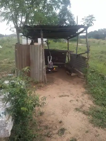 Arulmigu Varatharajaperumal Temple, Kanapadi - 624802 அருள்மிகு வரதராஜப்பெருமாள் திருக்கோயில், Kanapadi - 624802, Dindigul - Ancient Temple Architecture and History Image 4