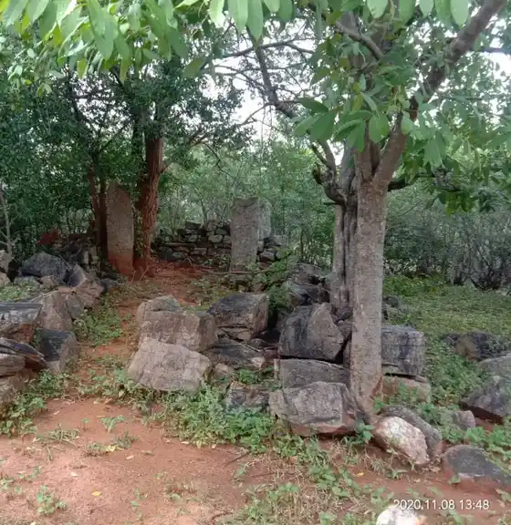 Arulmigu Varatharajaperumal Temple, Koombur - 624710 அருள்மிகு வரதராஜப்பெருமாள் திருக்கோயில், கூம்பூர் - 624710, Dindigul - Ancient Temple Architecture and History Image 4