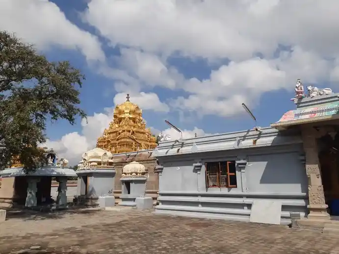 Arulmigu Varatharajaperumal Temple, Lakkamanayakkanpatty - 638111 அருள்மிகு வரதராஜப்பெருமாள் திருக்கோயில், Lakkamanayakkanpatty - 638111, Tiruppur - Ancient Temple Architecture and History Image 2
