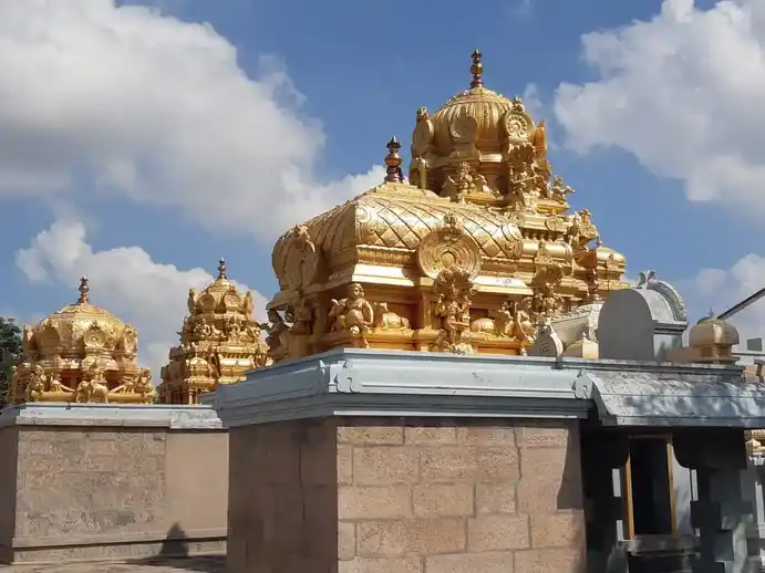 Arulmigu Varatharajaperumal Temple, Lakkamanayakkanpatty - 638111 அருள்மிகு வரதராஜப்பெருமாள் திருக்கோயில், Lakkamanayakkanpatty - 638111, Tiruppur - Ancient Temple Architecture and History Image 3