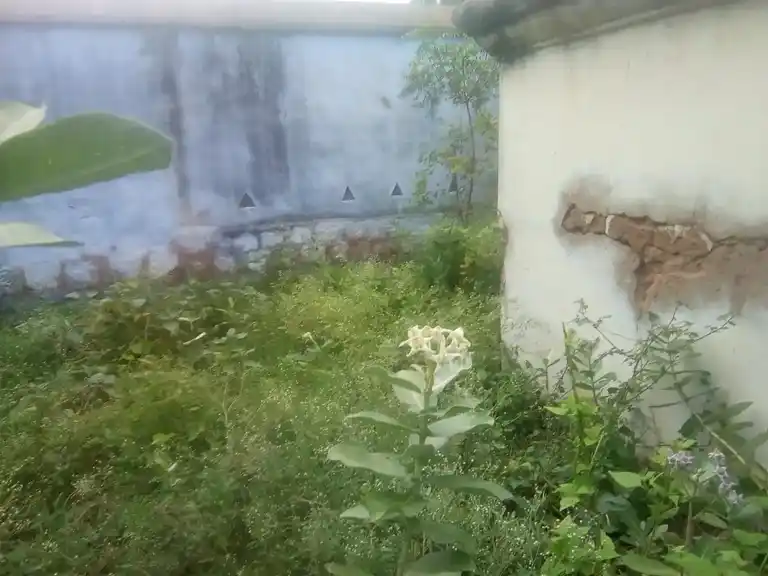 Arulmigu Varatharajaperumal Temple, Markeyankottai - 625515 அருள்மிகு வரதராஜப்பெருமாள் திருக்கோயில், மார்க்கையன் கோட்டை - 625515, Theni - Ancient Temple Architecture and History Image 2