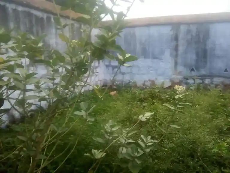 Arulmigu Varatharajaperumal Temple, Markeyankottai - 625515 அருள்மிகு வரதராஜப்பெருமாள் திருக்கோயில், மார்க்கையன் கோட்டை - 625515, Theni - Ancient Temple Architecture and History Image 5