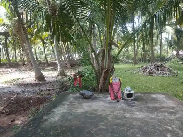 Arulmigu Varatharajaperumal Temple, Pannaipatty - 624202