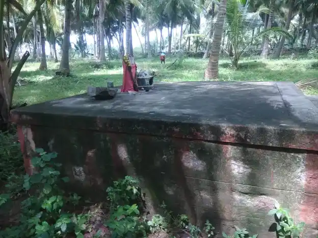 Arulmigu Varatharajaperumal Temple, Pannaipatty - 624202 அருள்மிகு வரதராஜப்பெருமாள் திருக்கோயில், Pannaipatty - 624202, Dindigul - Ancient Temple Architecture and History Image 4