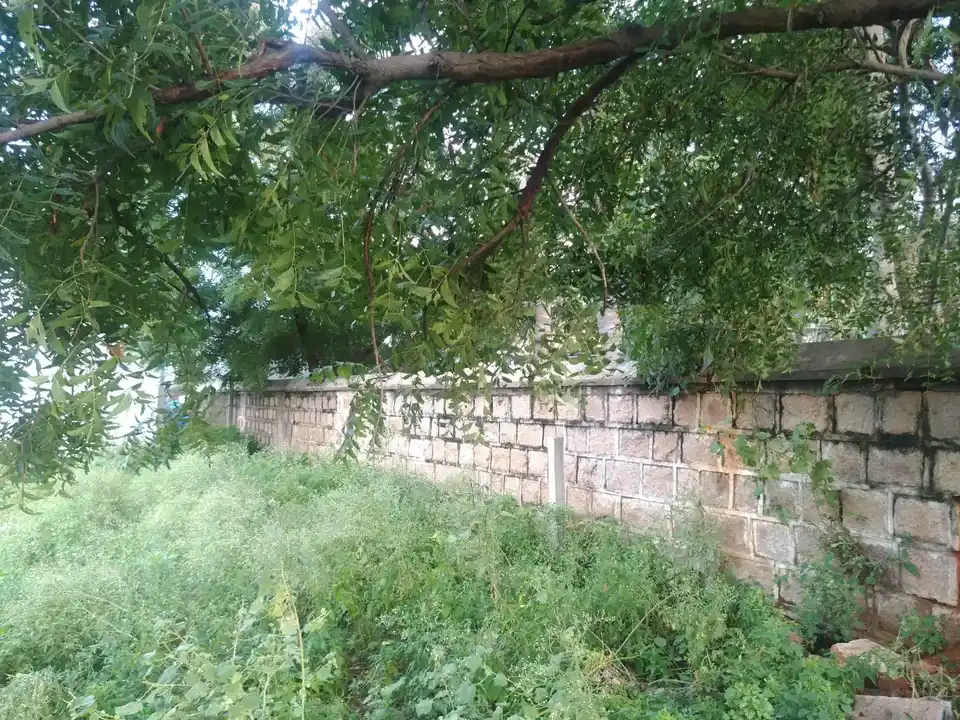 Arulmigu Varatharajaperumal Temple, Santhapeetai, Thottiam - 621215 அருள்மிகு வரதராஜப்பெருமாள் திருக்கோயில், Santhapeetai, Thottiam - 621215, Thiruchirappalli - Ancient Temple Architecture and History Image 4