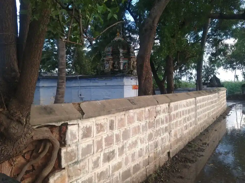 Arulmigu Varatharajaperumal Temple, Santhapeetai, Thottiam - 621215 அருள்மிகு வரதராஜப்பெருமாள் திருக்கோயில், Santhapeetai, Thottiam - 621215, Thiruchirappalli - Ancient Temple Architecture and History Image 5