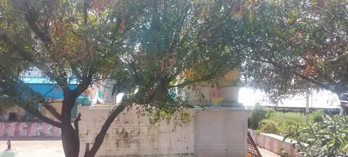 Arulmigu Varatharajaperumal Temple, Somampatti - 636115 அருள்மிகு வரதராஜப்பெருமாள் திருக்கோயில், Somampatti - 636115, Salem - Ancient Temple Architecture and History Image 2