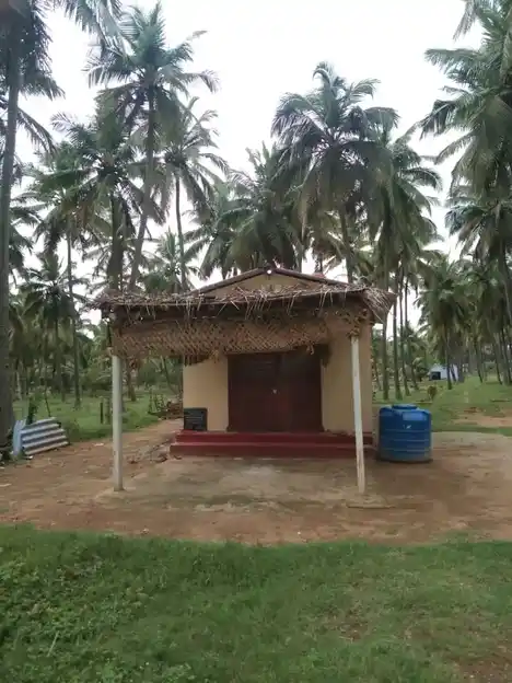Arulmigu Varatharajaperumal Temple, Thondamuthur - 642123 அருள்மிகு வரதராஜபெருமாள் திருக்கோயில், தொண்டாமுத்தூர் - 642123, Coimbatore - Ancient Temple Architecture and History Image 3