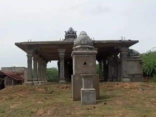 Arulmigu Varatharajapperumal Temple, Sundhanavur - 614626 அருள்மிகு வரதராஜ பெருமாள் திருக்கோயில், சுந்தனாவூர், ஆவுடையார்கோவில் வட்டம் - 614626, Pudukkottai - Ancient Temple Architecture and History Image 4