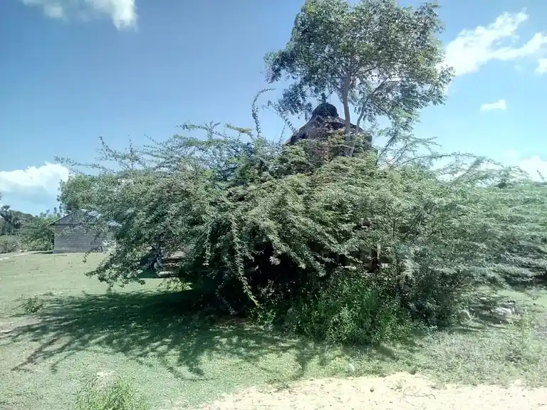 Arulmigu Varatharajapperumal Temple, Vellur - 621316 அருள்மிகு வரதராஜப்பெருமாள் திருக்கோயில், Vellur - 621316, Pudukkottai - Ancient Temple Architecture and History Image 2