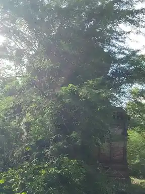 Arulmigu Varatharajperumal Temple, Thittacheri - 610206 அருள்மிகு வரதராஜபெருமாள் திருக்கோயில், திட்டச்சோி - 610206, Thiruvarur - Ancient Temple Architecture and History Image 4